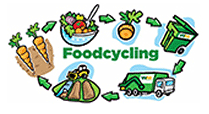 Foodcycler Program