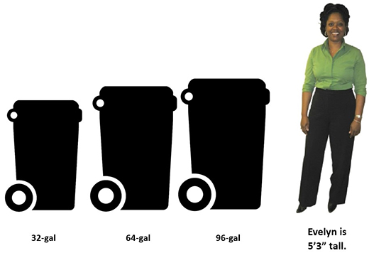 Cart Sizes