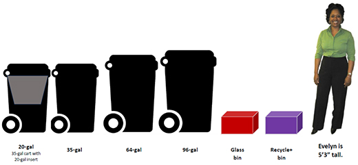 Cart Sizes Cart Sizes