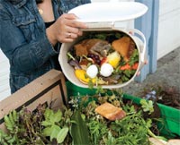 Include the Food - Click here