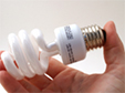  fluorescent light bulbs