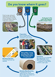 Click here to download - Where Does It Go Click here to download - Collection Guidelines