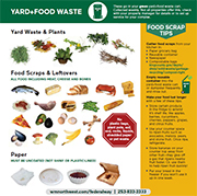 Click here to download - Collection Guidelines