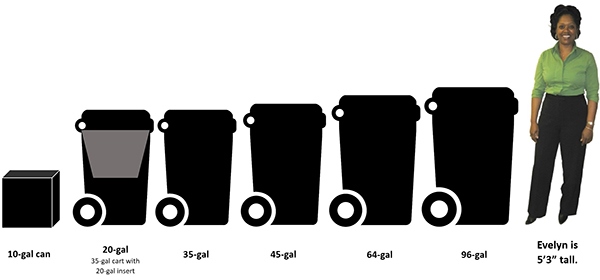 Cart Sizes