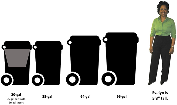 Cart Sizes