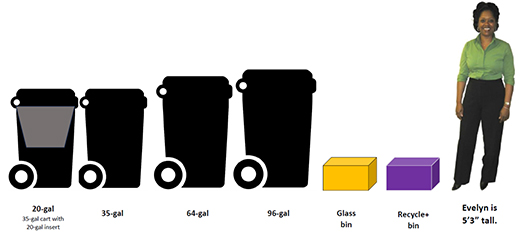 Cart Sizes Cart Sizes
