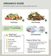 Click here to download - 
  Collection Guidelines